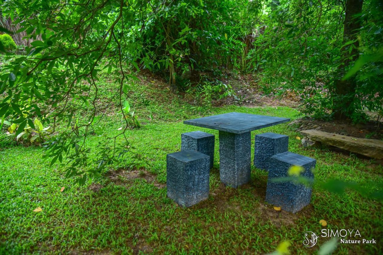 Simoya Nature Park Hotel Dambulla Exterior photo