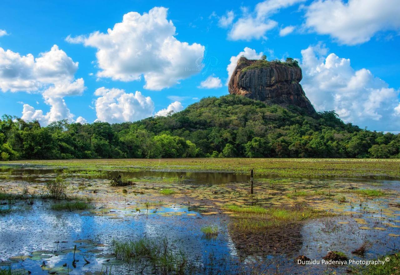 Simoya Nature Park Hotel Dambulla Exterior photo